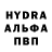 Amphetamine Розовый QuisBlog