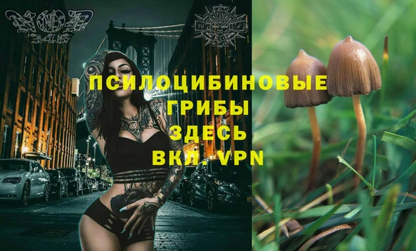 spice Елабуга