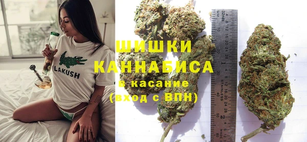 стафф Дмитриев