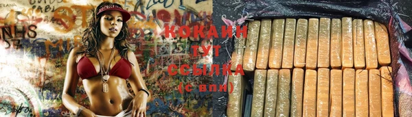 стафф Дмитриев