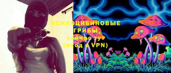 spice Елабуга